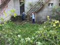 IMG 54085