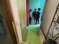 IMG 5461