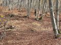 IMG 5467