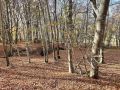 IMG 5470
