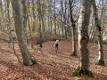 IMG 5471