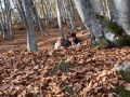 IMG 5711